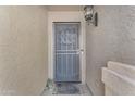 Close-up of front door with security screen and decorative light fixture at 4559 E Sierrita Rd, San Tan Valley, AZ 85143