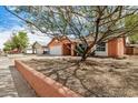 Front exterior of home surrounded by mature trees and desert landscaping at 19645 N 3Rd Ave, Phoenix, AZ 85027