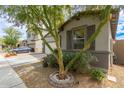 Charming house featuring decorative stone and lovely xeriscaping, complemented by a well-maintained yard at 3219 W Pollack St, Phoenix, AZ 85041