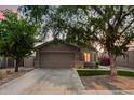Well-maintained single-Gathering home with desert landscaping, artificial turf, and mature trees at 3922 N 125Th Dr, Avondale, AZ 85392
