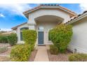 Inviting front entrance features a walkway, beautiful bushes, and a gray door with side windows at 14241 N 56Th Pl, Scottsdale, AZ 85254