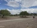 Park with sidewalk, large trees, shaded picnic area and lovely blue sky at 16810 W Portland St, Goodyear, AZ 85338
