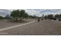 Landscaped park area with winding sidewalks, green trees and plenty of desert landscaping at 16810 W Portland St, Goodyear, AZ 85338