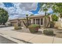 Attractive home with manicured desert landscaping, palm trees, a tile roof, and a nicely paved sidewalk at 2448 S Salida Del Sol --, Chandler, AZ 85286