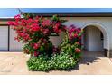 Lush bougainvillea frames the arched entry of this charming home, adding vibrant color and curb appeal at 3516 W Brown St, Phoenix, AZ 85051