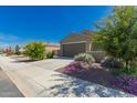 Well-maintained home featuring desert landscaping, a concrete driveway, and a two-car garage at 3597 E Appaloosa Dr, San Tan Valley, AZ 85140