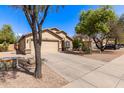 Inviting home with a spacious driveway, mature trees, and low maintenance gravel landscaping at 4076 E Silverbell Rd, San Tan Valley, AZ 85143
