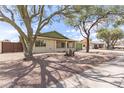 An inviting single-story home featuring desert landscaping and mature shade trees in the front yard at 1237 E Gemini Dr, Tempe, AZ 85283