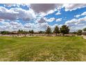 Expansive green space with mature trees and walking trails, perfect for recreation at 20941 E Pecan Ln, Queen Creek, AZ 85142
