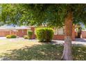 Charming brick home with a well-maintained lawn, rock landscaping, and mature shade tree at 2131 W Verde Ln, Phoenix, AZ 85015