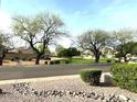 Street view showcasing trees, rock landscaping and shrubbery at 4446 E Woodridge Dr, Phoenix, AZ 85032