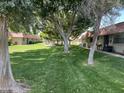 Serene community space featuring mature trees, lush lawns, and walking paths creating a park-like environment for residents at 141 N Date -- # 7, Mesa, AZ 85201