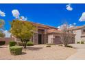 Well-maintained front yard with mature trees and desert landscaping at 2146 S Drexel --, Mesa, AZ 85209