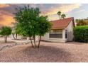 Home exterior featuring desert landscaping with rock and palm trees, offering easy maintenance at 3308 N Nebraska St, Chandler, AZ 85225