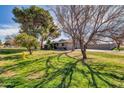 Lush green lawn and mature trees surround this home creating a serene and inviting atmosphere at 2017 E Willis Rd, Gilbert, AZ 85297