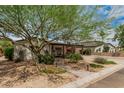 Welcoming home boasting a covered carport, shade tree, and beautifully landscaped front yard at 6726 N 11Th St, Phoenix, AZ 85014