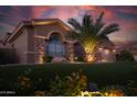 Beautifully landscaped front yard with a palm tree and decorative stone at 15664 W Vernon Ave, Goodyear, AZ 85395