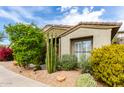 Landscaped front yard with desert plants and native vegetation create inviting curb appeal at 20802 N Grayhawk Dr # 1005, Scottsdale, AZ 85255