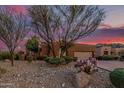 Charming single-story home with desert landscaping, mature trees, and a paver driveway, adding curb appeal at 1607 W Pearce Rd, Phoenix, AZ 85041