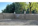 Fully fenced backyard at 4136 N 113Th Dr, Phoenix, AZ 85037