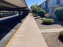 Exterior shot featuring parking and paved walkways to private courtyards and living spaces at 2602 W Berridge Ln # C102, Phoenix, AZ 85017