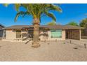 Charming single-story home with a desert landscape and a large palm tree in the yard at 3 S 130Th Pl, Chandler, AZ 85225