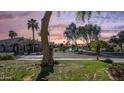Peaceful street view with lush green lawns and a view of the community lake at 3411 S Vine St, Chandler, AZ 85248