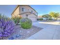 Two-story home with drought-resistant landscaping featuring vibrant purple and orange flowering bushes at 43324 W Desert Fairways Dr, Maricopa, AZ 85138