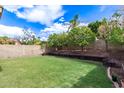 Green backyard has a block fence and mature landscaping with trees and a well-maintained lawn at 11243 E Jenan Dr, Scottsdale, AZ 85259