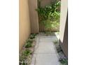 A stone-lined path with desert plants, providing a serene and inviting entryway to the home at 11752 N 135Th Pl, Scottsdale, AZ 85259