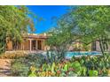 Backyard view showcasing desert plants, pool, covered patio, and home exterior at 12646 N 80Th Pl, Scottsdale, AZ 85260