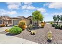 Beautiful front exterior of the home with desert landscaping, two car garage, and well manicured landscaping at 21573 N 261St Ave, Buckeye, AZ 85396