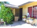 Inviting front porch with decorative plants and secure front door at 4116 N 78Th Ave, Phoenix, AZ 85033