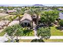 Aerial view of a single story home with palm trees, green lawn and mature landscaping in a residential neighborhood at 17673 E Bronco Dr, Queen Creek, AZ 85142