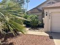 A tranquil, desert-style landscaped front yard featuring mature palm trees and decorative rock at 3877 W Butler St, Chandler, AZ 85226