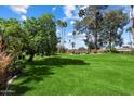 Lush green backyard featuring tall trees, offering ample shade and a tranquil setting at 7746 E Bisbee Rd, Scottsdale, AZ 85258