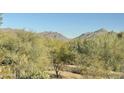 Breathtaking mountain views framed by lush desert vegetation create a scenic backdrop at 20801 N 90Th Pl # 169, Scottsdale, AZ 85255