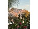 Mountains visible from the house at 2181 E 27Th Ave, Apache Junction, AZ 85119