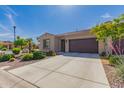 Attractive single-story home with desert landscaping and a long driveway at 3910 N 163Rd Dr, Goodyear, AZ 85395