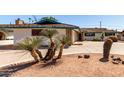 Southwestern home with desert landscaping, xeriscaping, and a spacious driveway in front at 537 N Jay St, Chandler, AZ 85225