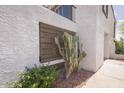 Exterior detail of the home featuring well-maintained stucco, a decorative cactus, and lovely landscaping at 7755 E Thomas Rd # 17, Scottsdale, AZ 85251