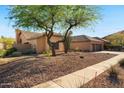 Beautiful exterior of home with a desert landscape and mature trees providing shade and curb appeal at 2449 E Desert Flower Ln, Phoenix, AZ 85048