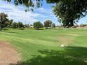 Expansive green space with shade trees, perfect for recreation or relaxation at 2834 E Juanita Ave, Mesa, AZ 85204