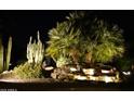 Night view of backyard water feature with lighted desert landscaping at 29624 N 128Th Ln, Peoria, AZ 85383