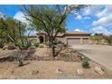 Expansive single-story home with a three-car garage, desert landscaping, and mature trees at 3816 E El Sendero Rd, Cave Creek, AZ 85331