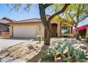 Single-Gathering home showing a desert landscape and an attached two-car garage at 10351 E Morning Star Dr, Scottsdale, AZ 85255