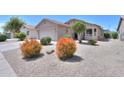 Single-story home featuring a two-car garage and low-maintenance desert landscaping at 426 N Santiago Trl, Casa Grande, AZ 85194