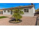 Charming single-story home with gray brick and a mature tree in the xeriscaped front yard at 6823 W Coolidge St, Phoenix, AZ 85033