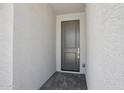 Close-up shot of a stylish front door and textured exterior wall providing a welcoming entrance at 9543 W Parkway Dr, Tolleson, AZ 85353