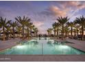 Stunning community pool lined with palm trees, lounge chairs, and lovely desert sunset views at 11300 N Casa Dega Dr # 1027, Surprise, AZ 85388